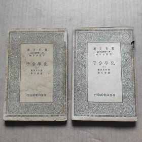 萬(wàn)有文庫(kù):化學(xué)分子（兩冊(cè)全）
