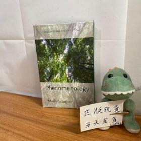 PALGRAVE PHILOSOPHY TODAY : Phenomenology