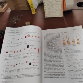 全球金融稳定报告：向稳定状态过渡的坎坷之旅（2013年10月）