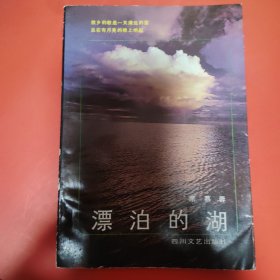 漂泊的湖