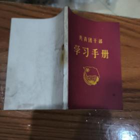 共青团干部学习手册