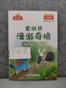 全新 爱丽丝漫游奇境 六年级 快乐读书系列 9787564847159