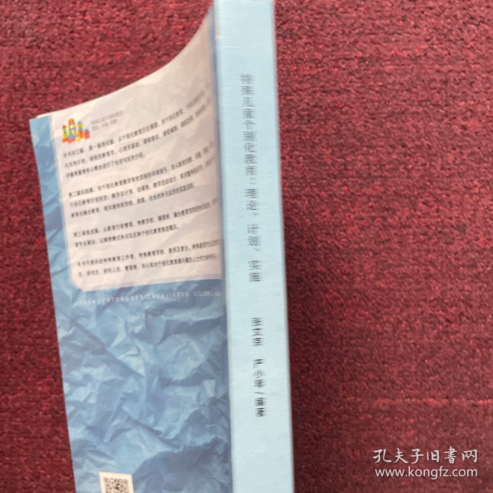 特殊儿童个别化教育： 理论、计划、实施