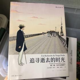 追寻逝去的时光第二卷：在少女花影下