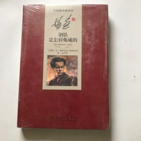 中国翻译家译丛 梅益译钢铁是怎样炼成的