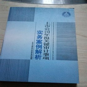 上市公司年报关键审计事项实务案例解析