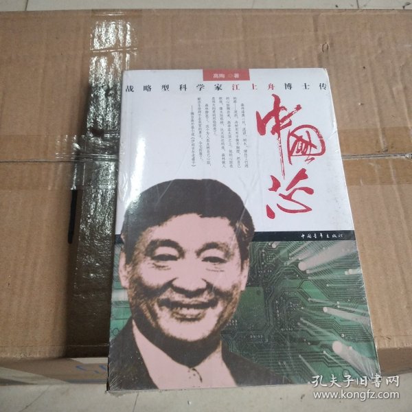 中国芯：战略型科学家江上舟博士传