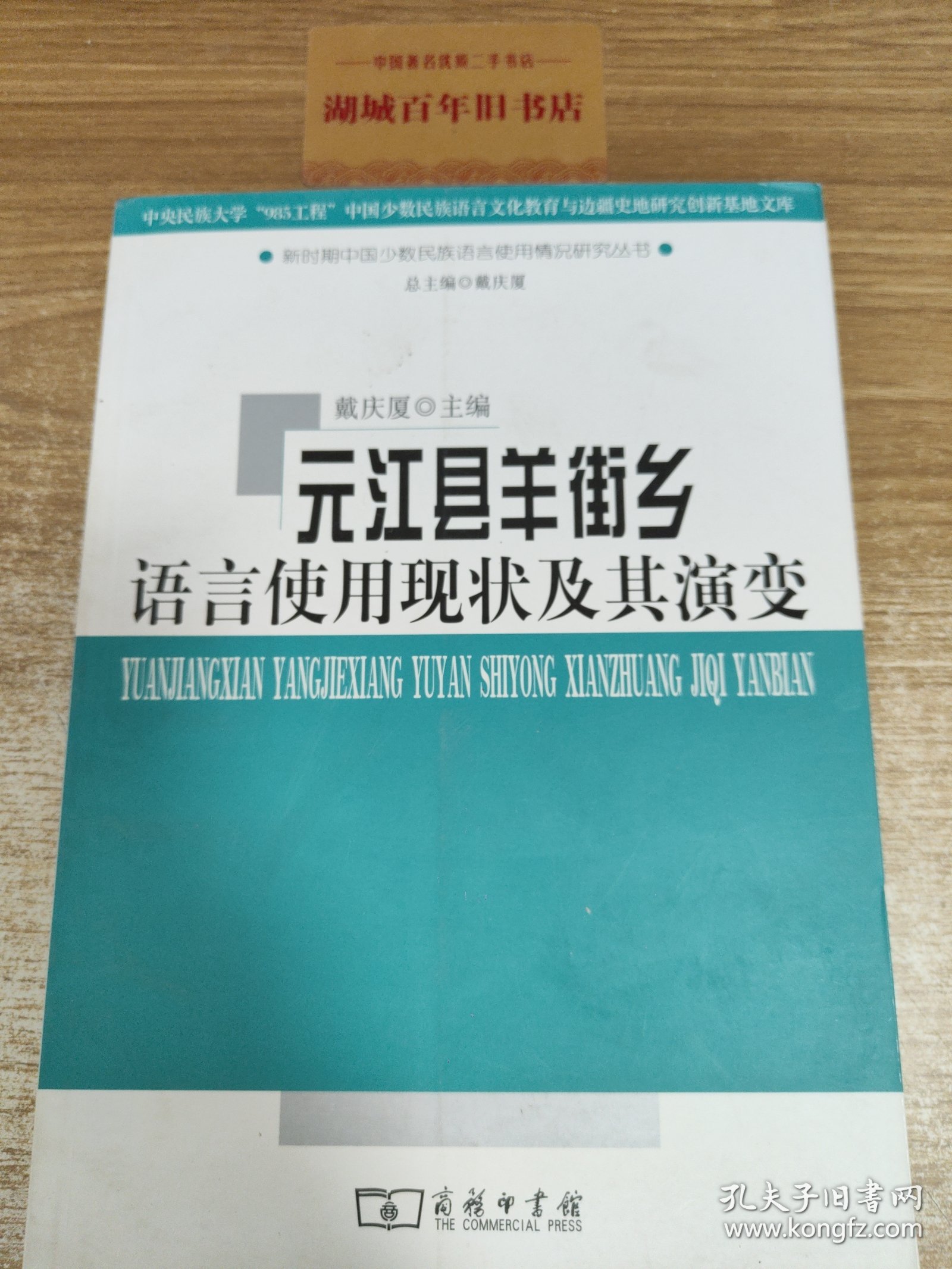 元江县羊街乡语言使用现状及其演变