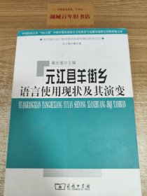 元江县羊街乡语言使用现状及其演变