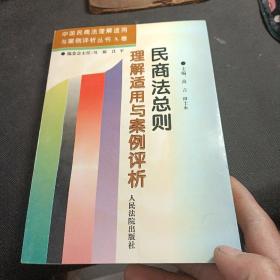 民商法总则理解适用与案例评析