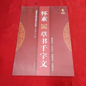 中国历代名碑名帖放大本系列·书法系列丛书：怀素草书千字文