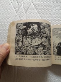 连环画，高山下的花环