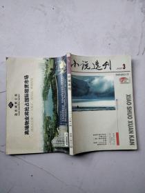 小说选刊2010年3