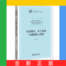 大國效應、分工經(jīng)濟與國家收入差距