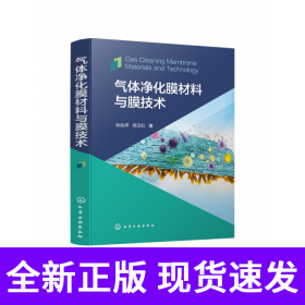 气体净化膜材料与膜技术