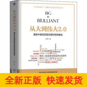 從大到偉大2.0 重塑中國高質(zhì)量發(fā)展的微觀基礎(chǔ)