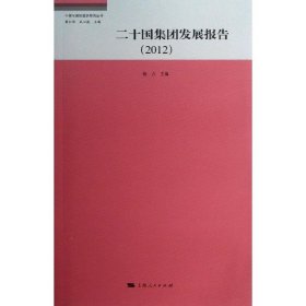 【正版新书】 二十国集团发展报告 杨力 编 上海人民出版社