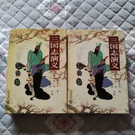 三国志演义（上下册）