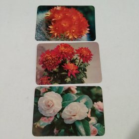 1978年年历卡三张一套，浙江出品花卉题材