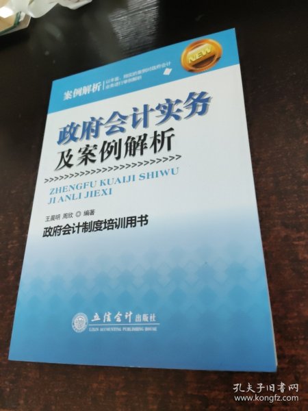 政府会计实务及案例解析