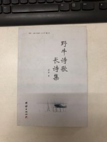 视界·野牛诗歌：长诗集