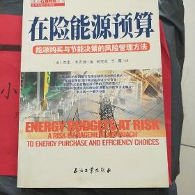 读点石油财经丛书·在险能源预算：能源购买与节能决策的风险管理方法
