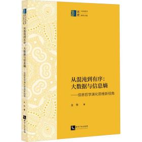 从混沌到有序：大数据与信息熵——信息哲学演化思维新视角