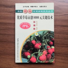 优质草莓亩创8000元关键技术