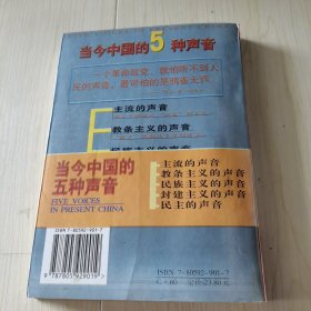 呼喊：当今中国的5种声音