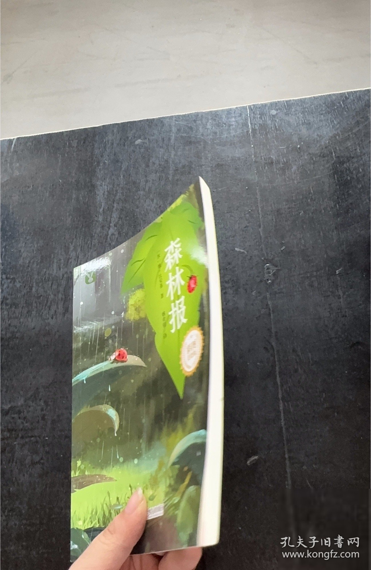 森林报[苏]维·比安基 著9787548448181