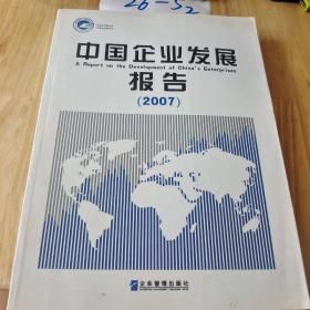 中国企业发展报告2007