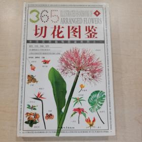 插花植材：365种造型花材的彩色图鉴
