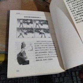 实战图解泰国拳