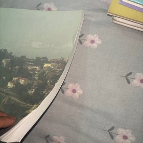 闽海古韵--刘正成厦门书法展作品集（刘正成签名）