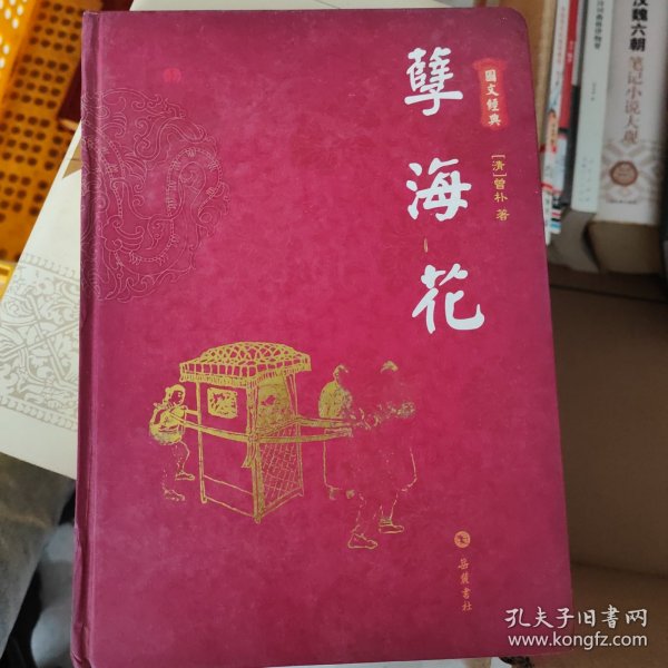 孽海花（图文经典）