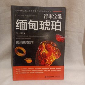 行家宝鉴：缅甸琥珀