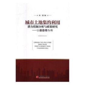 城市土地集约利用潜力挖掘分析与政策研究：以武汉为例 经济理论、法规 陈昱