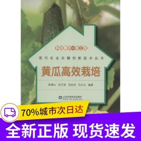 科技惠農(nóng)一號(hào)工程—黃瓜高效栽培