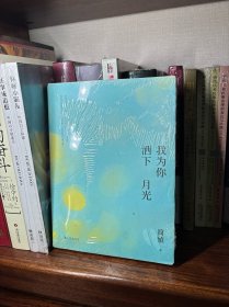 我为你洒下月光