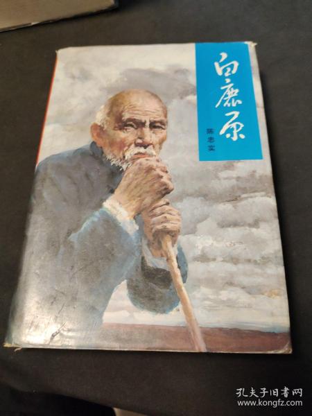 白鹿原（布面精装）1994年精装仅印2000册 一版一印