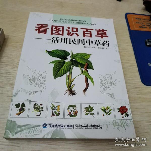 看图识百草：活用民间中草药