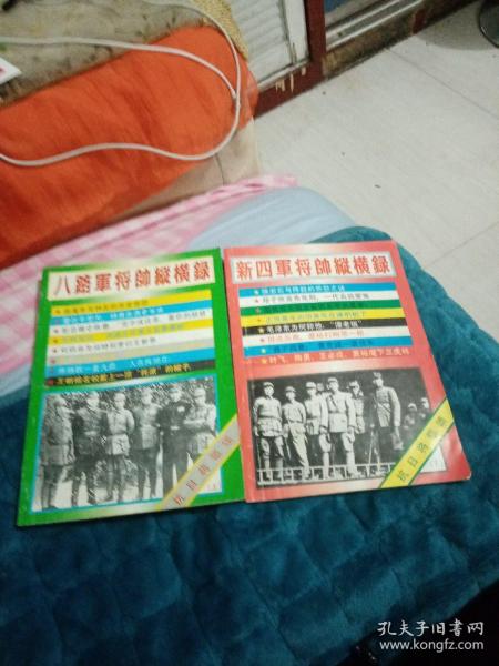 八路军新四军将帅纵横录上下
