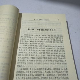 武汉大学刑法学博士文库：刑事责任的一般理论