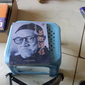 中国圣雄（梁漱溟传）