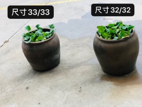 老陶罐两个，可做花盆，尺寸如图，透气好，全品保老