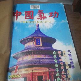 中国气功杂志 2000年 1—6册全
