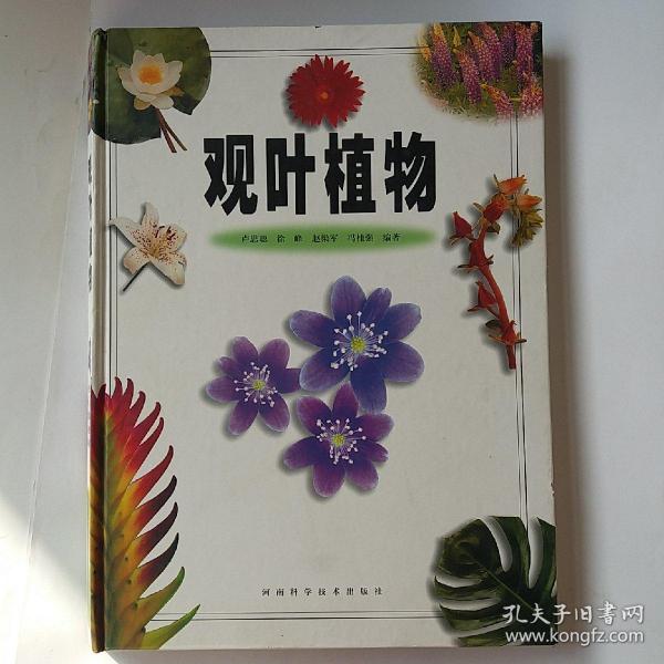 观叶植物（彩图版）