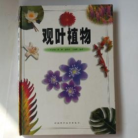 观叶植物（彩图版）