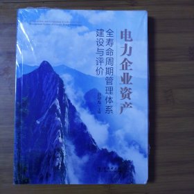 电力企业资产全寿命周期管理体系建设与评价