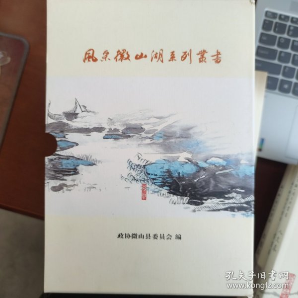 风采微山湖系列丛书